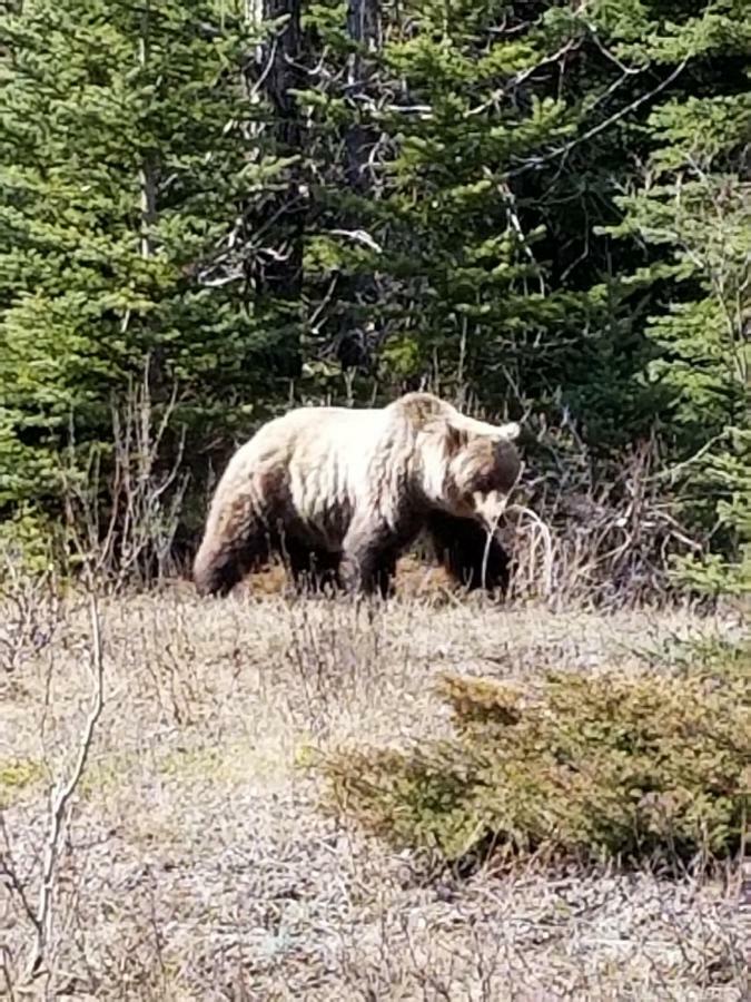 Roche Bonhomme Rustic Suite Jasper Dış mekan fotoğraf